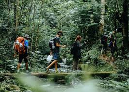 Hiker navigating stone steps on lush mountain trail in Bali